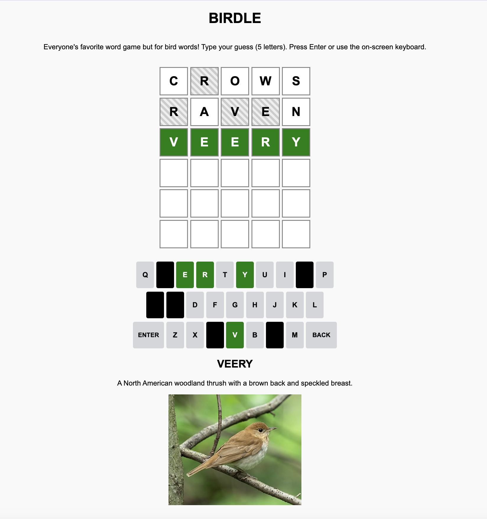 SolveBirdle preview